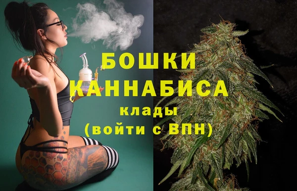 крисы Абдулино